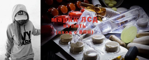 ГАЛЛЮЦИНОГЕННЫЕ ГРИБЫ Магас