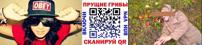Псилоцибиновые грибы прущие грибы  Сольцы 