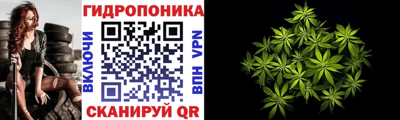 купить наркотик  Сольцы  МАРИХУАНА индика 